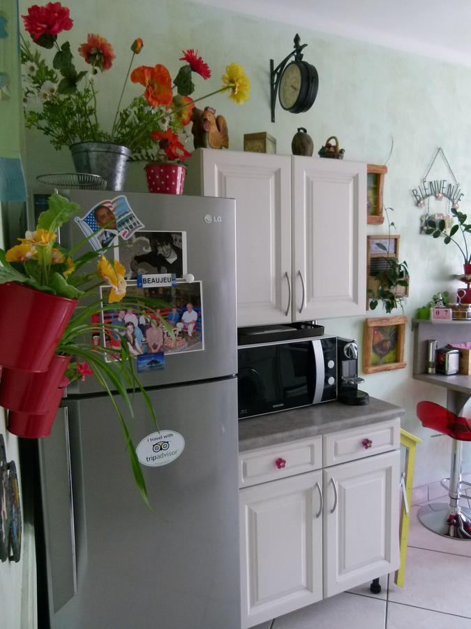 St Pothin Village Avec Garage Лион Экстерьер фото